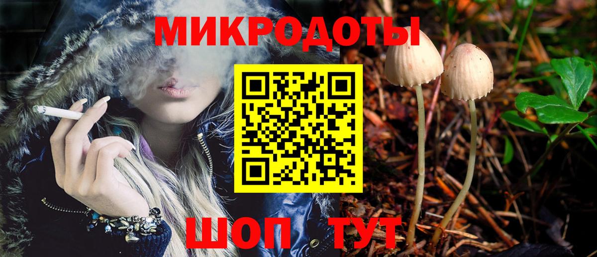 Электросталь  Псилоцибиновые грибы Cubensis  Вход с VPN 